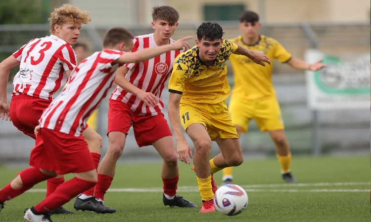 Fase nazionale Campionato Juniores Dilettanti, il regolamento